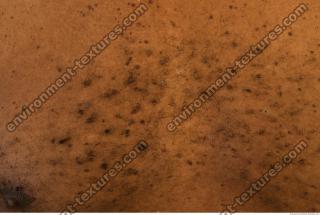 human skin black 0002